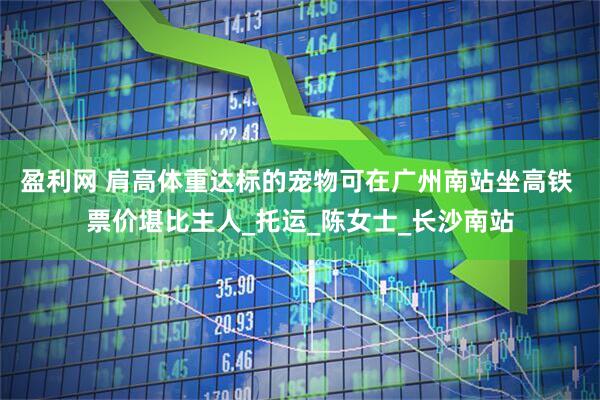 盈利网 肩高体重达标的宠物可在广州南站坐高铁 票价堪比主人_托运_陈女士_长沙南站